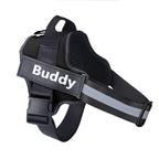 Personalized No-Pull Reflective Dog Harness – Breathable & Adjustable Comfort