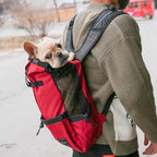 DogGo Backpack