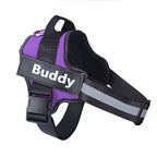 Personalized No-Pull Reflective Dog Harness – Breathable & Adjustable Comfort