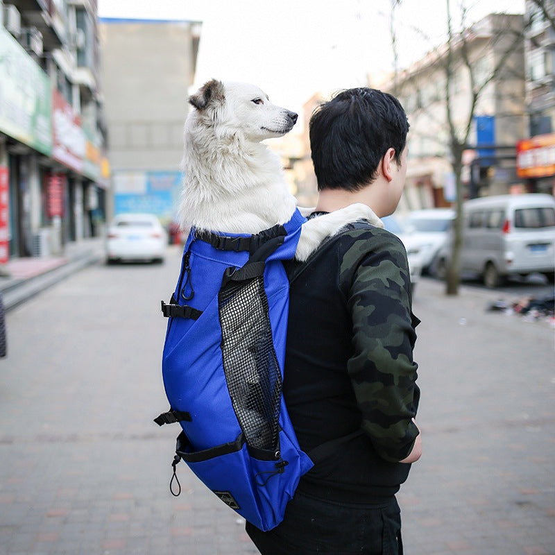 DogGo Backpack