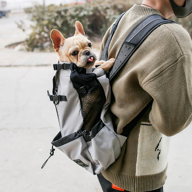 DogGo Backpack